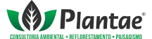 Plantae