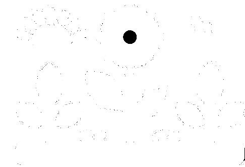 Plantae
