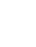 Plantae